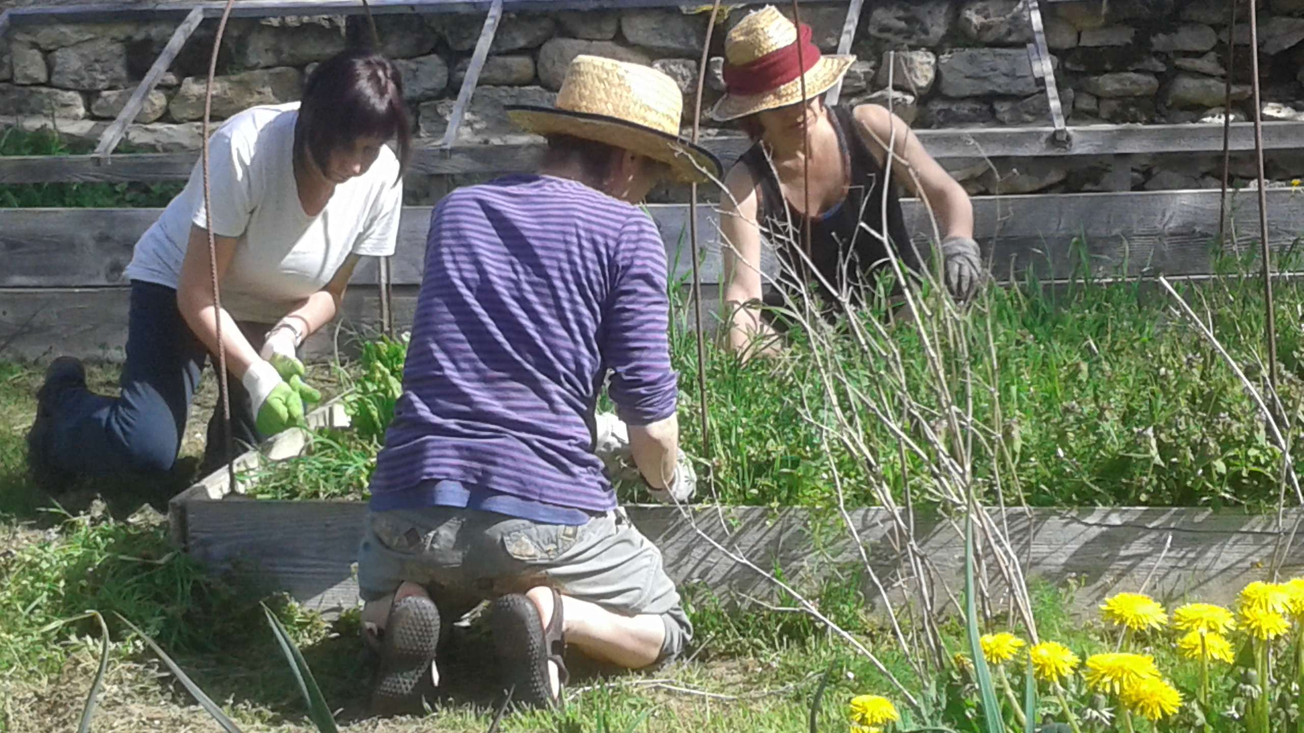 El proyecto 3 en huerta(1)