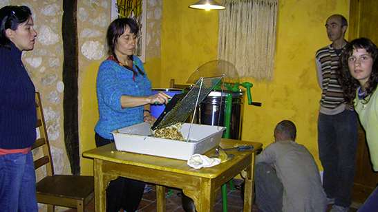 El proyecto cata de miel con publico