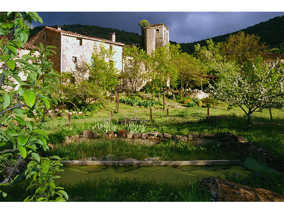 talamo desde estanque (1)